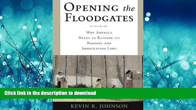 READ BOOK  Opening the Floodgates: Why America Needs to Rethink its Borders and Immigration Laws