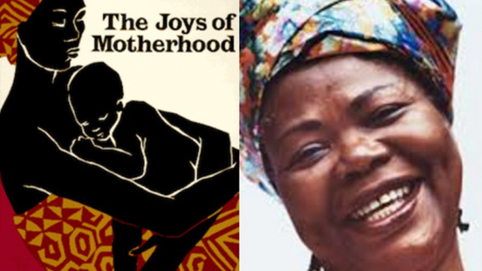 Novels Plot Summary 221: The Joys of Motherhood