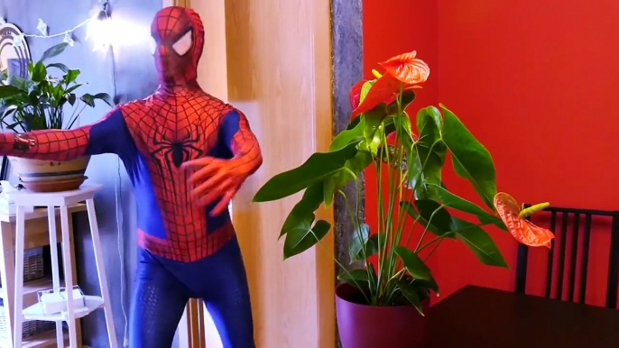 SPIDERMAN HURTS VS SPIDERGIRL !! Baby Spiderman vs Jok part 2