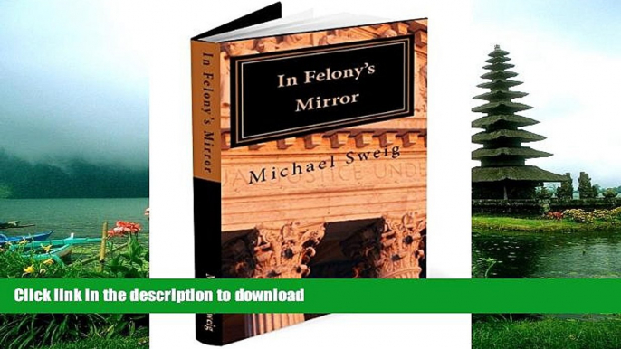 READ  In Felony s Mirror: Reflections on Pain and Promise (Changing the Rhetoric of Felony Book