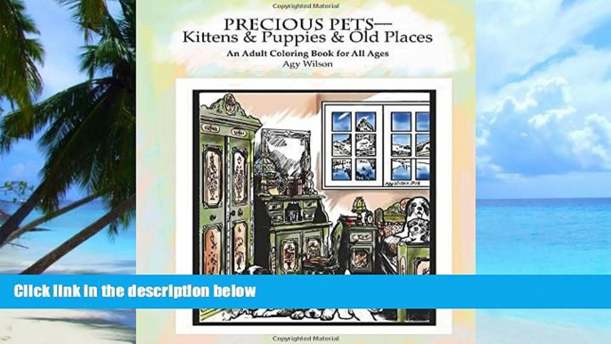Buy Agy Wilson Precious Pets-Kittens   Puppies   Old Places: An Adult Coloring Book for All Ages