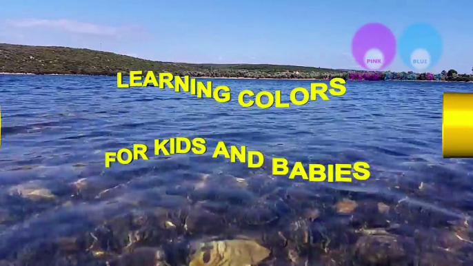 Learning colors For Kids With Pacman Learning Animals for Children and Toddlers With Monster Animals