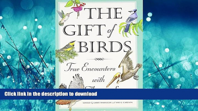 FAVORIT BOOK The Gift of Birds: True Encounters with Avian Spirits (Travelers  Tales Guides) READ