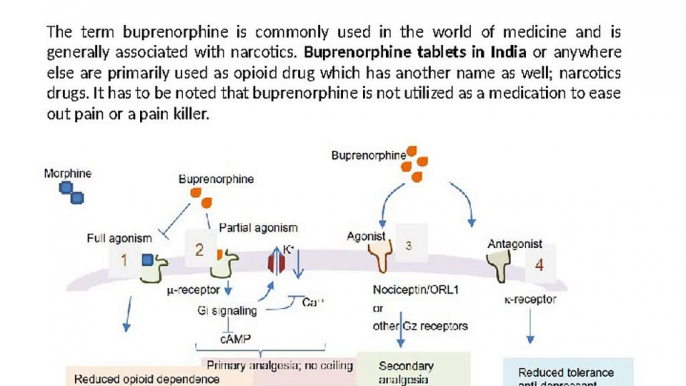 Needs to know about Buprenorphine Tablets in India