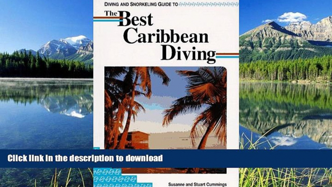 READ  Diving and Snorkeling Guide to the Best Caribbean Diving (Lonely Planet Diving   Snorkeling