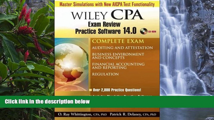 Online Patrick R. Delaney Wiley CPA Examination Review Practice Software 14.0 Complete Exam: