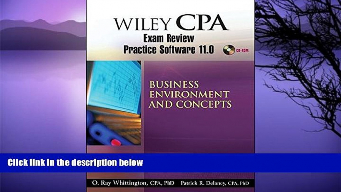 Pre Order Wiley CPA Examination Review Practice Software 11.0 BEC Revised Patrick R. Delaney On CD