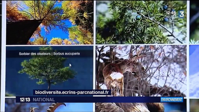 Alpes : un atlas du vivant dans le Parc des Écrins