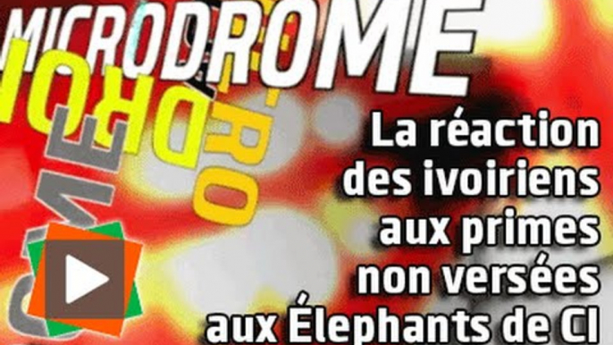 MICRODROME : Les réactions des ivoiriens aux primes non versées aux Élephants de CI