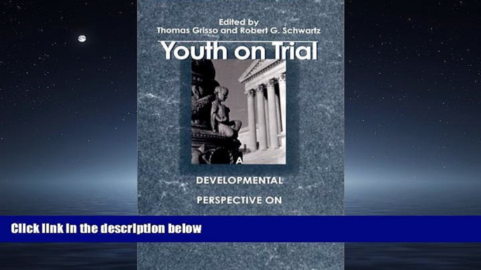 READ PDF [DOWNLOAD] Youth on Trial: A Developmental Perspective on Juvenile Justice (The John D.