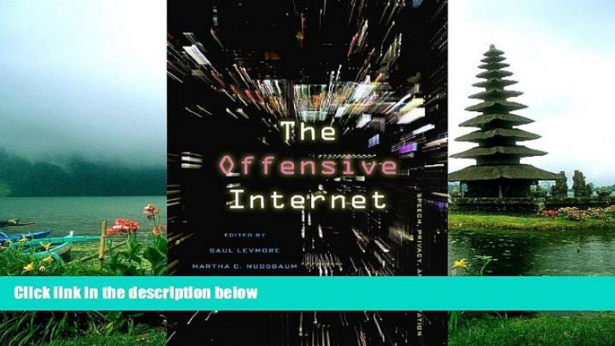 READ PDF [DOWNLOAD] The Offensive Internet: Speech, Privacy, and Reputation  BOOK ONLINE