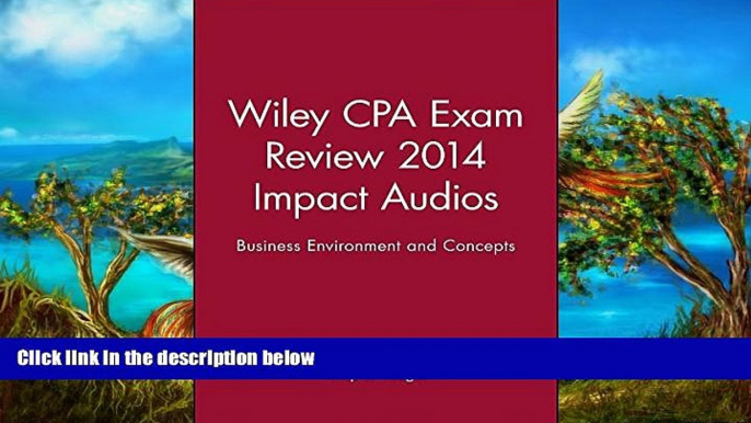 Buy Philip L. Yaeger Wiley CPA Exam Review 2014 Impact Audios: Business Environment and Concepts