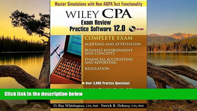 Buy Patrick R. Delaney Wiley CPA Examination Review Practice Software 12.0 - Complete Set Full