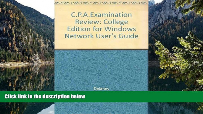 Buy Patrick R. Delaney Wiley CPA Examination Review 2.0 for Windows, Network User s Guide College