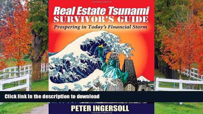 Read Book Real Estate Tsunami Survivor s Guide: Prospering in Today s Financial Storm