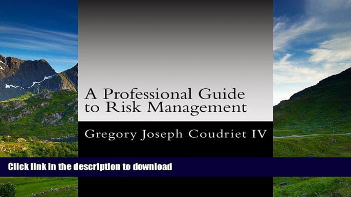 Read Book A Professionals Guide to Risk Management: A comprehensive analysis of the risk