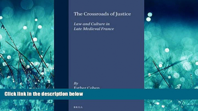 READ PDF [DOWNLOAD] The Crossroads of Justice: Law and Culture in Late Medieval France (Brill s