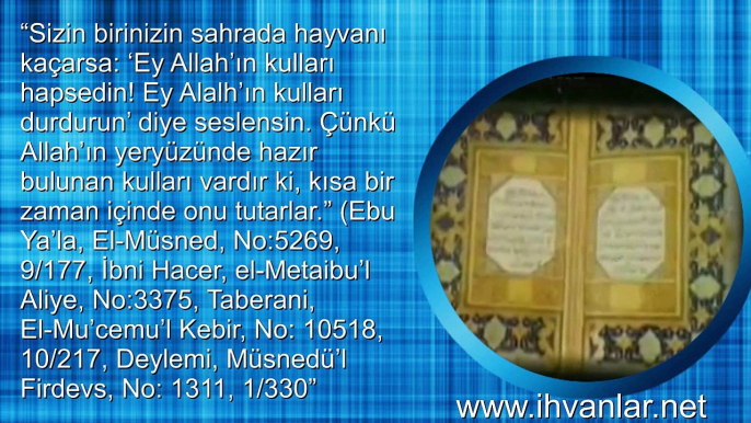 Gavs nedir Gavs var mıdır