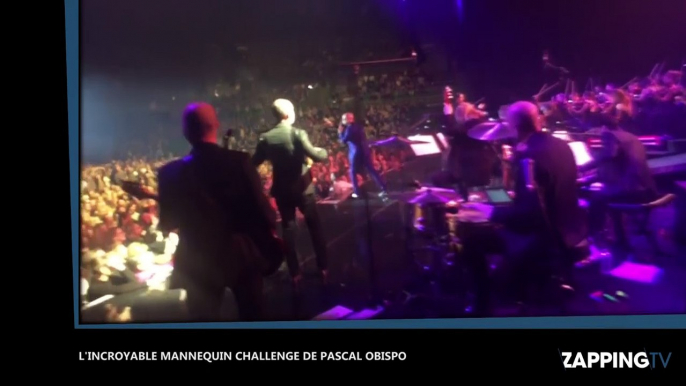 Pascal Obispo fait un Mannequin Challenge géant en plein concert, la déo fait le buzz
