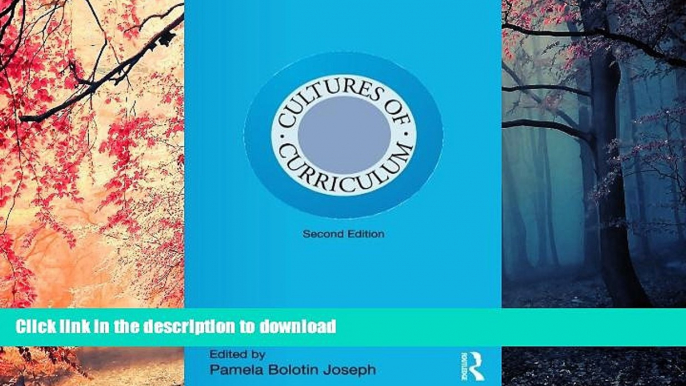 READ Cultures of Curriculum (Studies in Curriculum Theory Series)