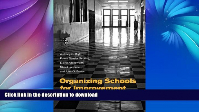 Read Book Organizing Schools for Improvement: Lessons from Chicago Full Book