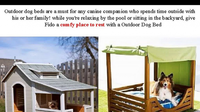 Outdoor Dog Beds: Provide Your Dog Comfort