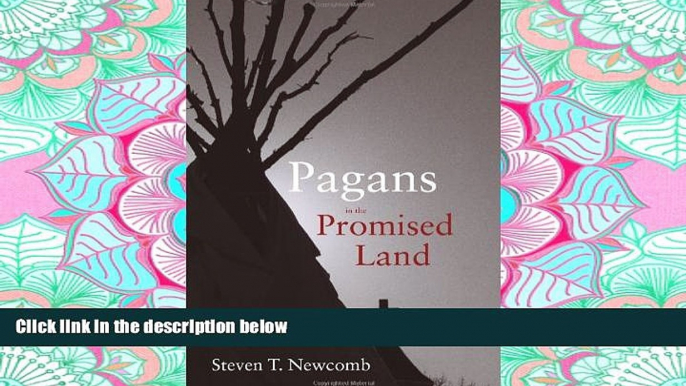 READ THE NEW BOOK Pagans in the Promised Land: Decoding the Doctrine of Christian Discovery BOOOK