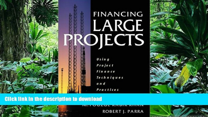 READ Financing Large Projects: Using Project Finance Techniques and Practices Kindle eBooks