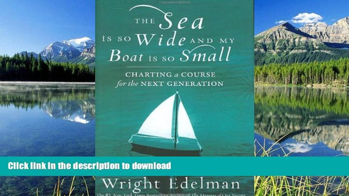 Pre Order The Sea Is So Wide and My Boat Is So Small: Charting a Course for the Next Generation