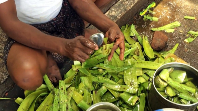 Street Food Around The World  - Juice Never Seen Before - Street Food in India - Aloe Vera Juice