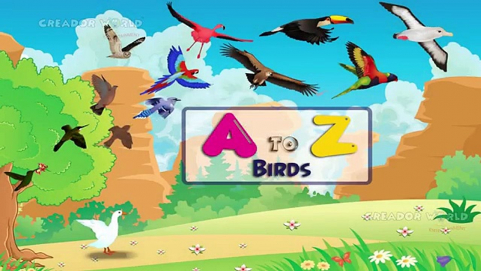 Learn Birds Names A-Z- Birds Names For Kids, Teach Your Children About Birds A to Z
