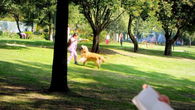 Arriva il primo ospedale pubblico per animali. Sterilizzazioni e vaccini gratis per tutti i cani e gatti.