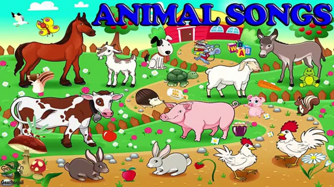 Animal Songs & Sounds for Children - Popular Animal Rhymes – Nursery Rhymes Songs