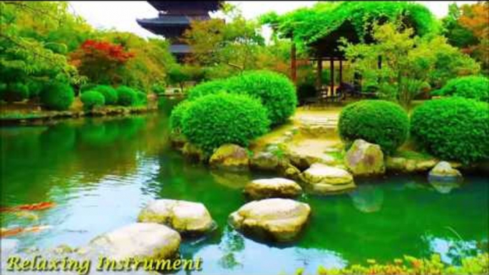 Japanese Instrumental Music | Relaxing Music with Water Sounds | Relaxation, Meditation, Spa