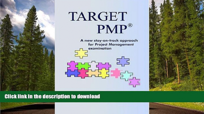 Hardcover Target Pmp: A New Stay-On-Track Approach On Book