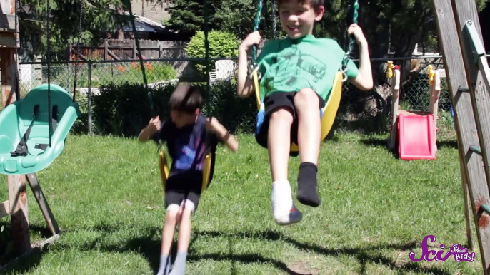 Swings, Slides, and Science