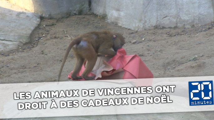 Les animaux de Vincennes ont aussi droit à des cadeaux de Noël