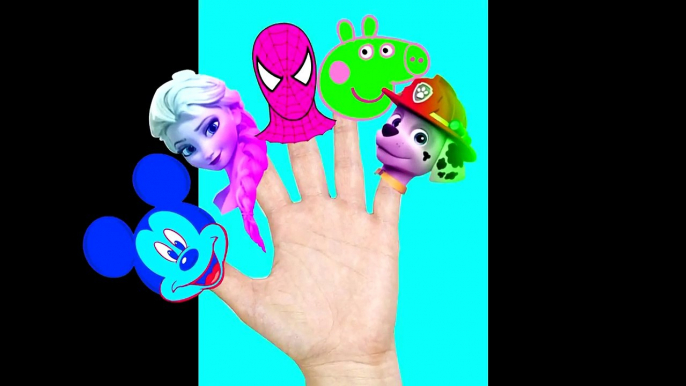 Finger Family collection Spiderman Frozen Elsa Peppa pig Lollipop Nursery Rhymes Lyrics for Kids