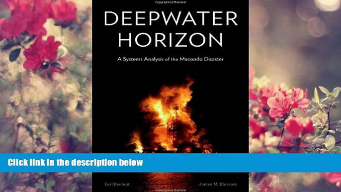 READ book Deepwater Horizon: A Systems Analysis of the Macondo Disaster Earl Boebert For Ipad