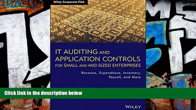 Buy Jason Wood IT Auditing and Application Controls for Small and Mid-Sized Enterprises: Revenue,