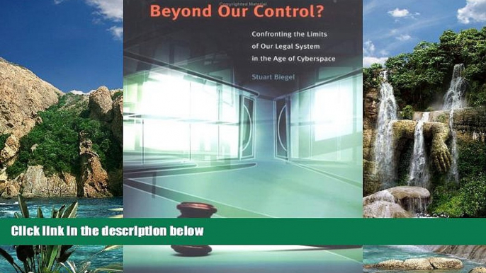 Buy Stuart Biegel Beyond Our Control? Confronting the Limits of Our Legal System in the Age of