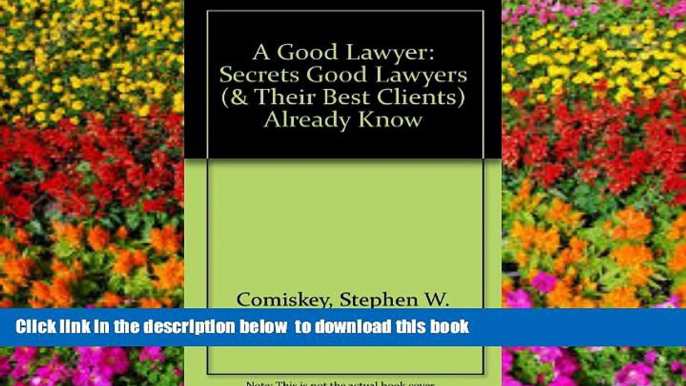 BEST PDF  A Good Lawyer: Secrets Good Lawyers (  Their Best Clients) Already Know FOR IPAD