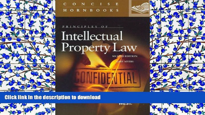 BEST PDF  Principles of Intellectual Property Law (Concise Hornbook Series) FOR IPAD