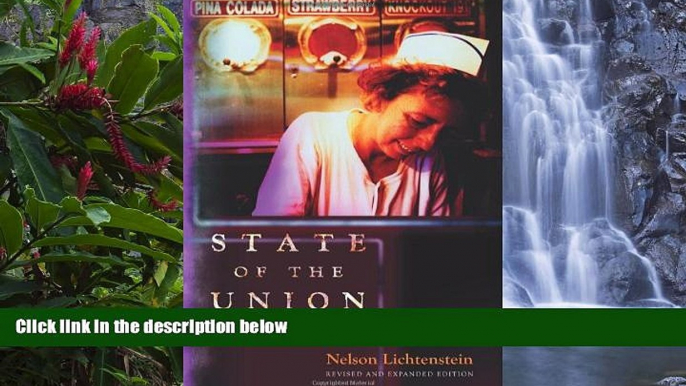 Buy Nelson Lichtenstein State of the Union: A Century of American Labor (Politics and Society in