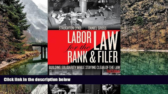 Online Daniel Gross Labor Law for the Rank   Filer: Building Solidarity While Staying Clear of the