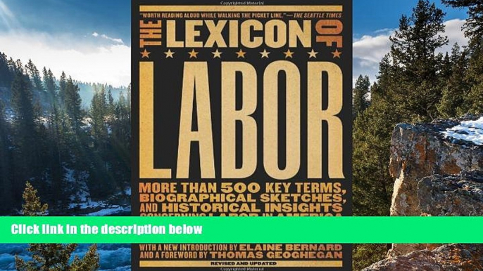 Read Online R. Emmett Murray The Lexicon of Labor: More Than 500 Key Terms, Biographical Sketches,