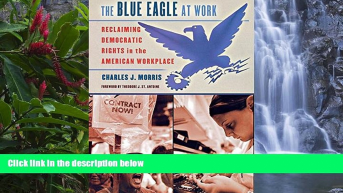 Buy Charles J. Morris The Blue Eagle at Work: Reclaiming Democratic Rights in the American