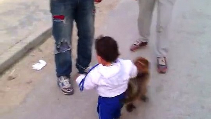 A Kids Fighting with Monkey-Amazing Video