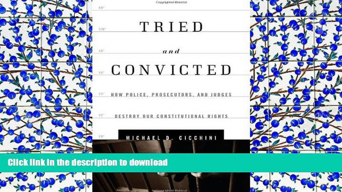 FAVORIT BOOK Tried and Convicted: How Police, Prosecutors, and Judges Destroy Our Constitutional