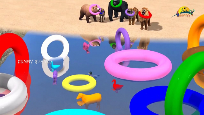 Learn colors lesson with 3D Animals Color Rings Nursery children learning colors